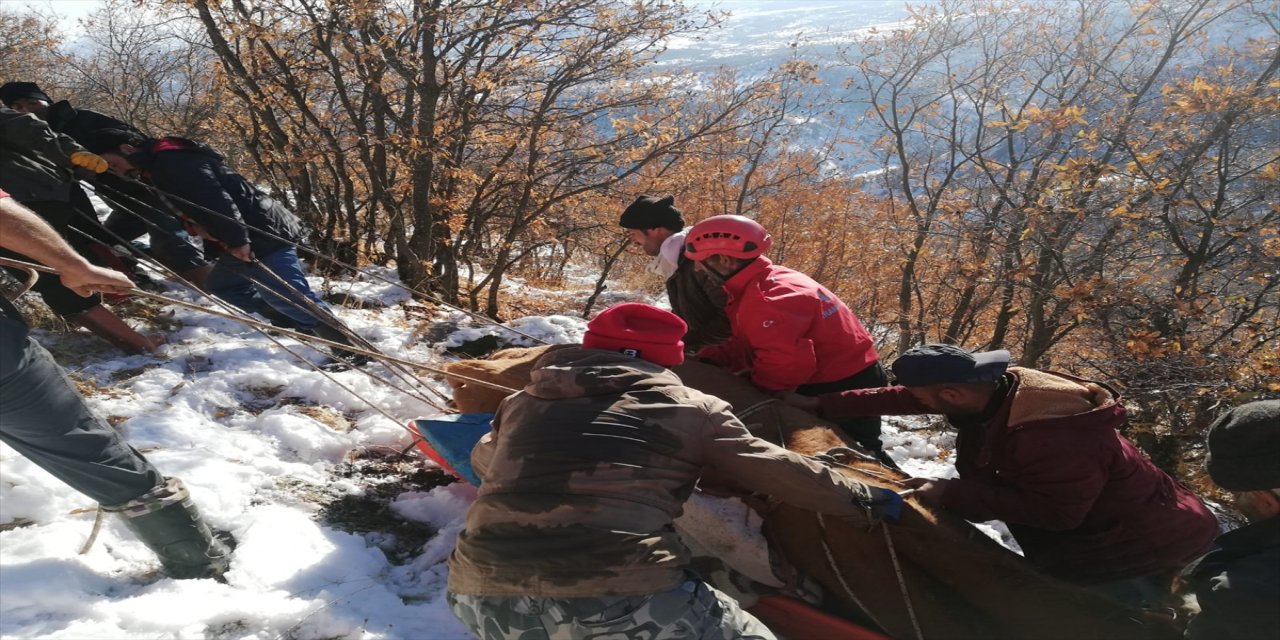 Bingöl'de uçuruma yuvarlanan gebe inek kurtarıldı