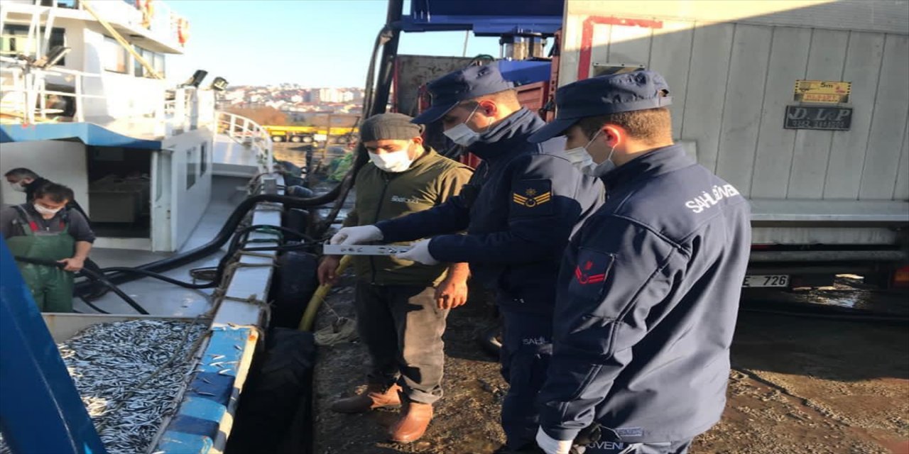 Zonguldak'ta 22 ton küçük boy hamsiye el konuldu