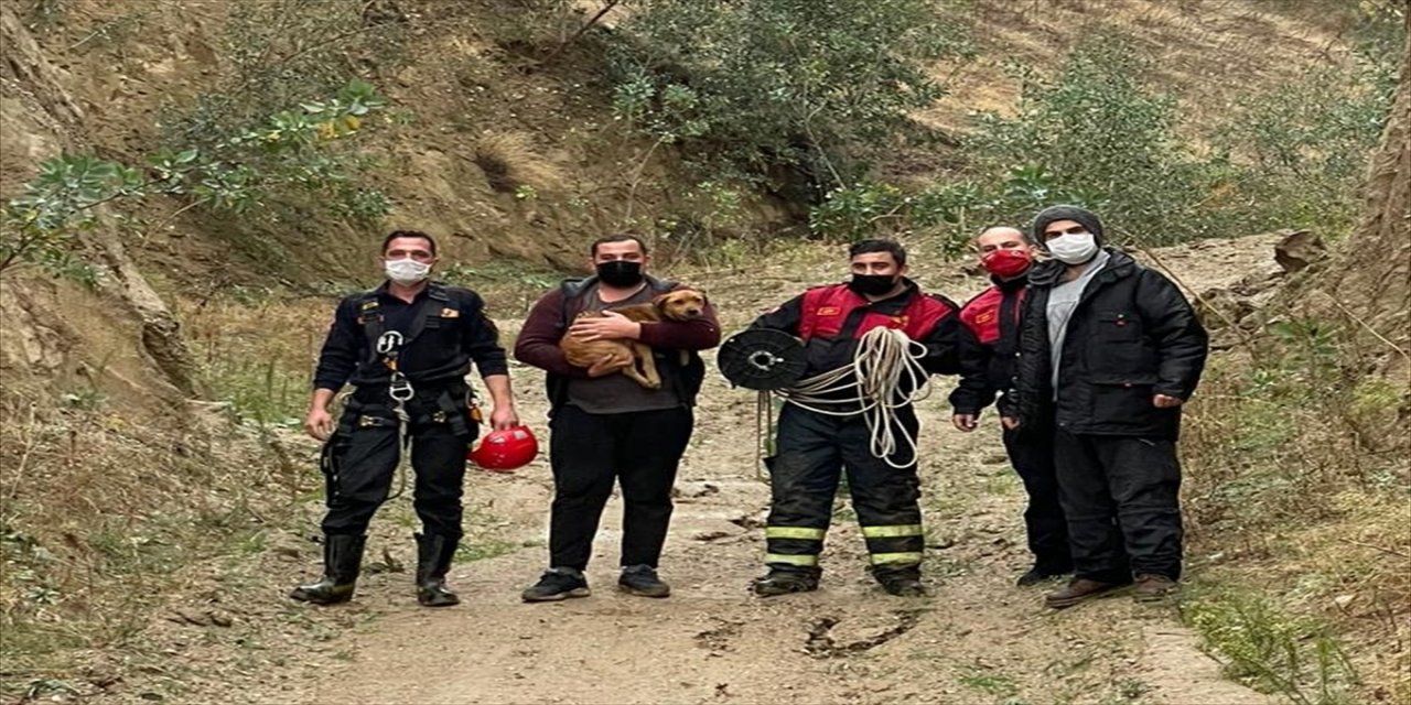 Aydın’da yamaçta 2 gün boyunca mahsur kalan köpeği itfaiye kurtardı