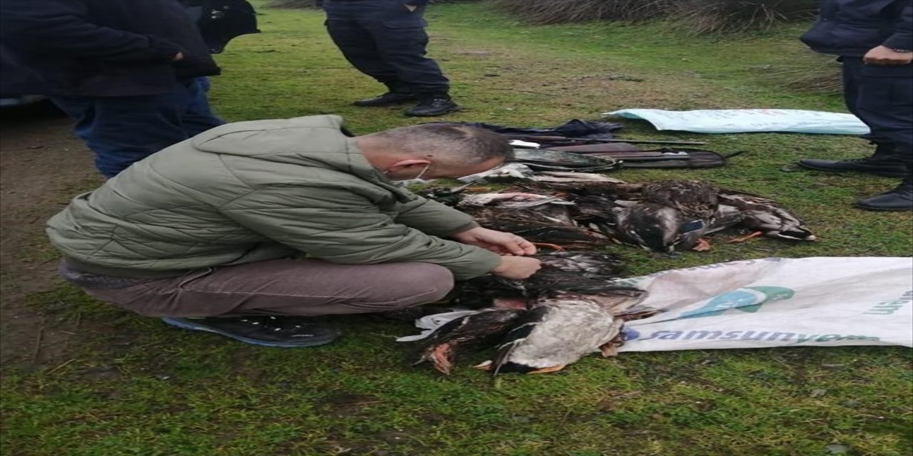 Kuş Cenneti'nde 32 ördeği kaçak avlayan 2 kişiye suçüstü