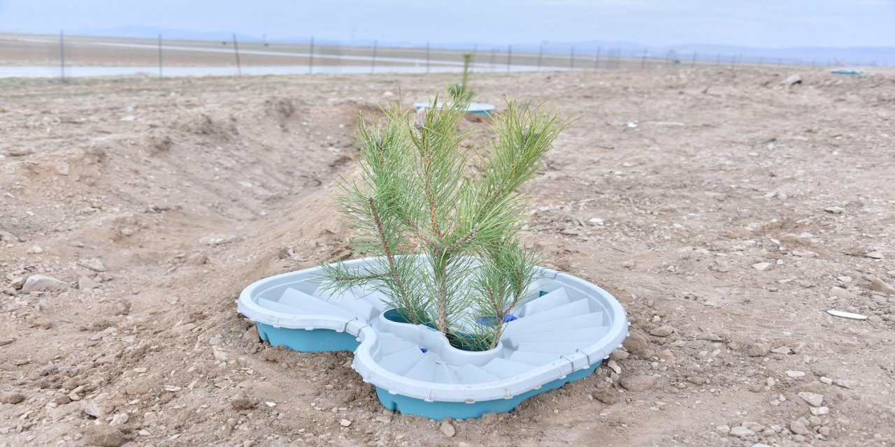 Konya'da ilk kez sulamasız fidan dikim çalışması yapıldı