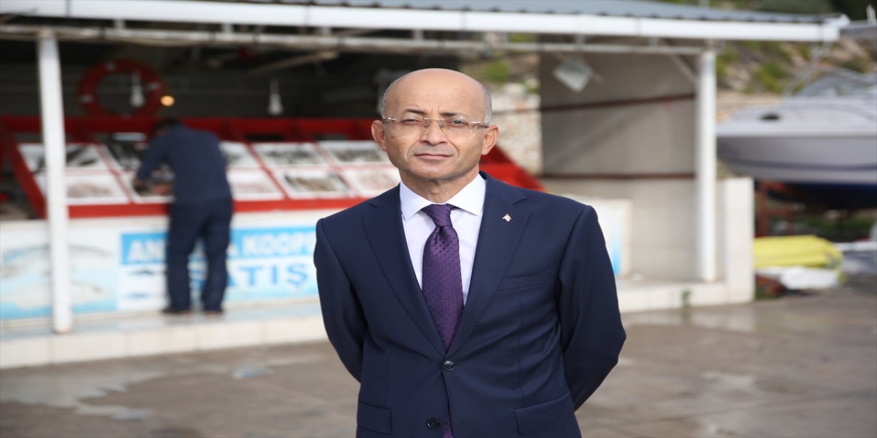 Antalya'da 24 günde 36 bin balon balığı yakalandı