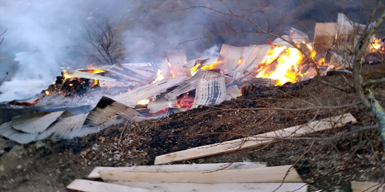 Ordu'da çıkan yangında ahır ve samanlık kullanılamaz hale geldi