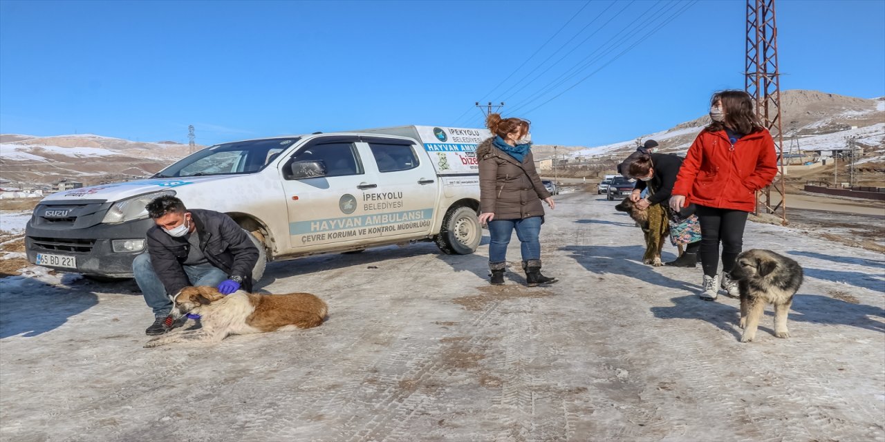 Dondurucu soğuğun etkili olduğu Van'da sokak hayvanlarına yem bırakıldı