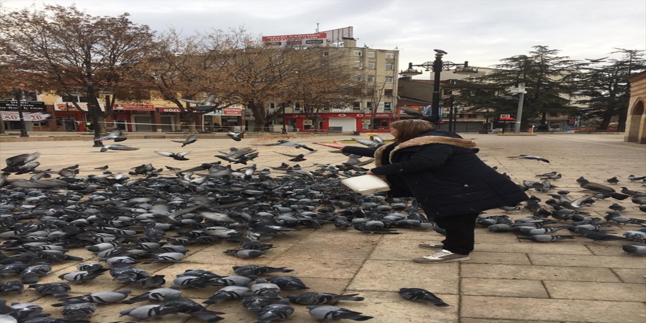 Kısıtlamada Kastamonu'nun tarihi meydanındaki kuşlar unutulmadı