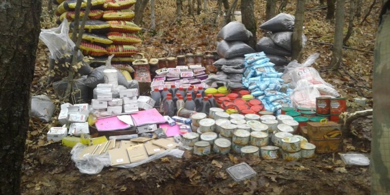 Bitlis'te 2020 yılında jandarmanın düzenlediği 1924 operasyonda 22 terörist etkisiz hale getirildi