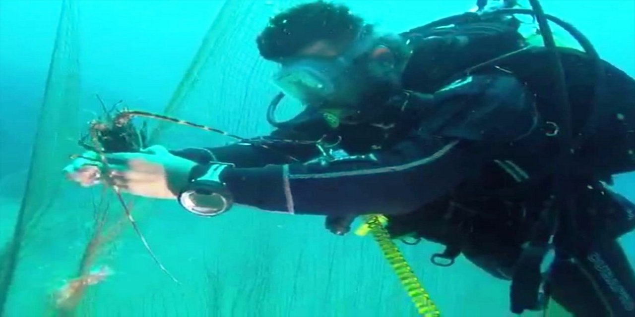 Ayvalık'ın deniz çayırlarının korunması için BM destekli proje başlatıldı