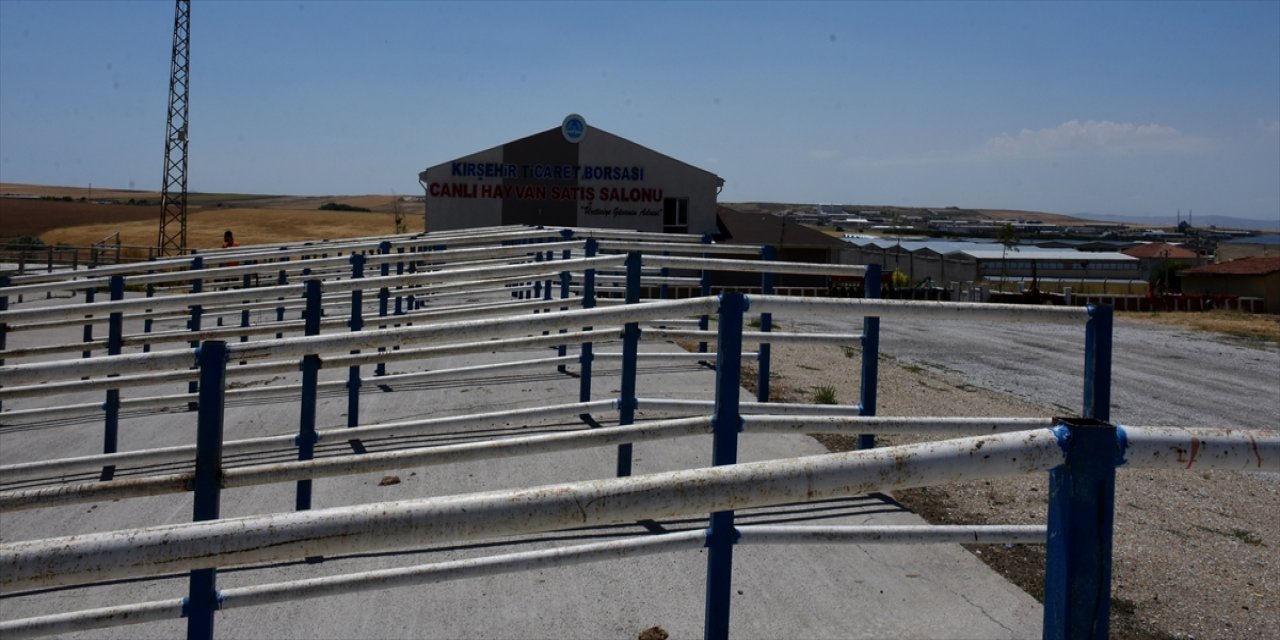 Kırşehir Canlı Hayvan Pazarı şap hastalığı nedeniyle kapatıldı