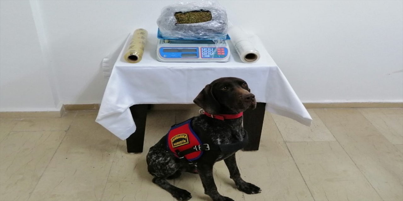 Batman'daki uyuşturucu operasyonunda bir şüpheli gözaltına alındı