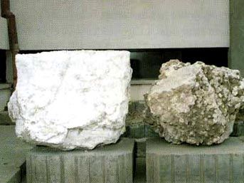 İnsan sağlığına zararlı mı?