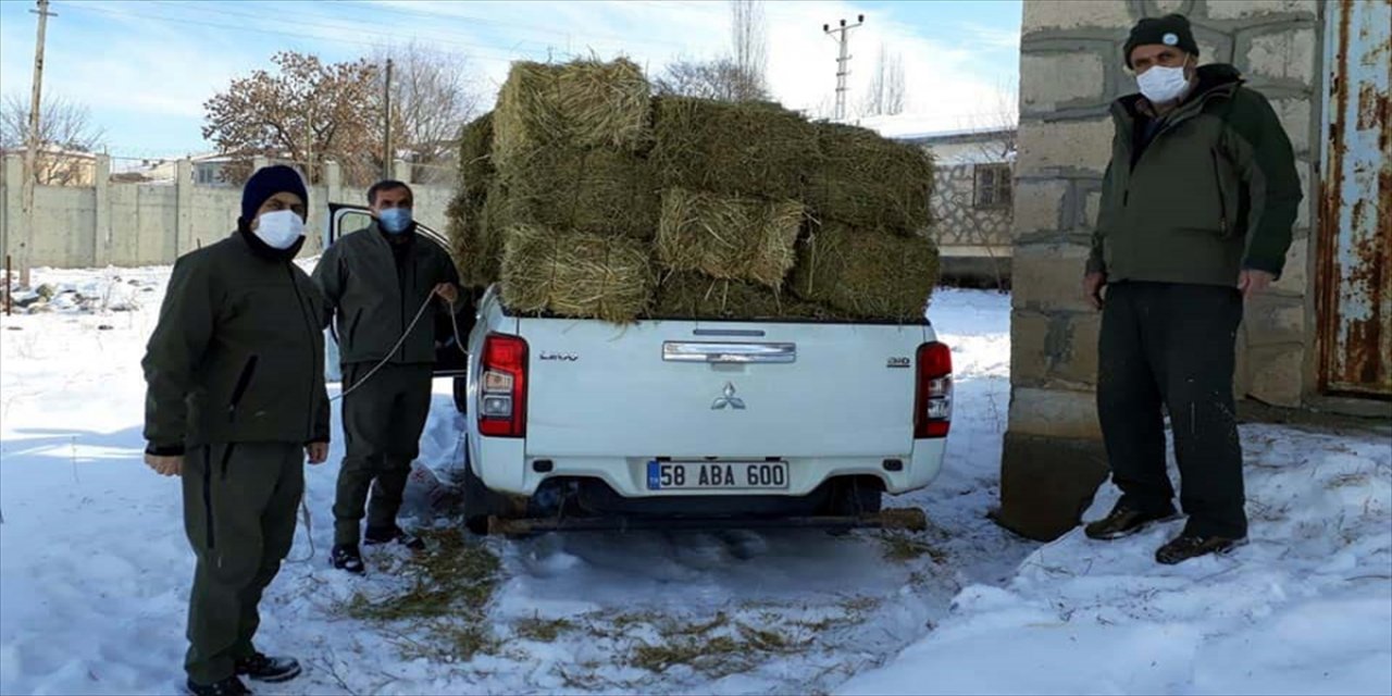 Elazığ'da yaban hayvanları için doğaya yem bırakıldı