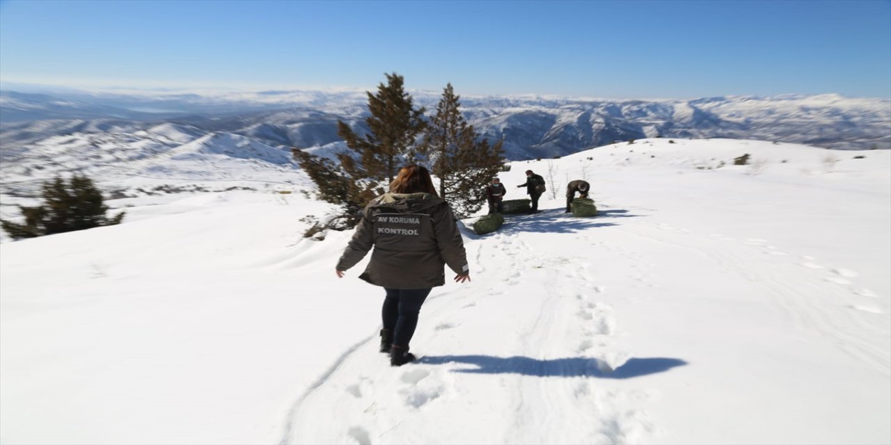 Tunceli'de yaban hayvanları için doğaya 2 ton yem bırakıldı