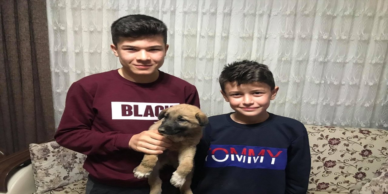 Manisa'da menfezde mahsur kalan yavru köpeği itfaiye kurtardı