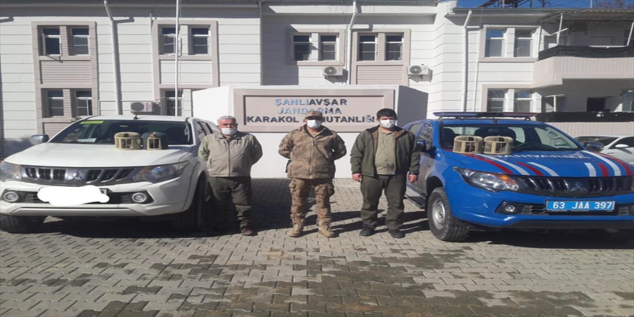 Şanlıurfa'da kaçak avlanan 2 kişi hakkında yasal işlem