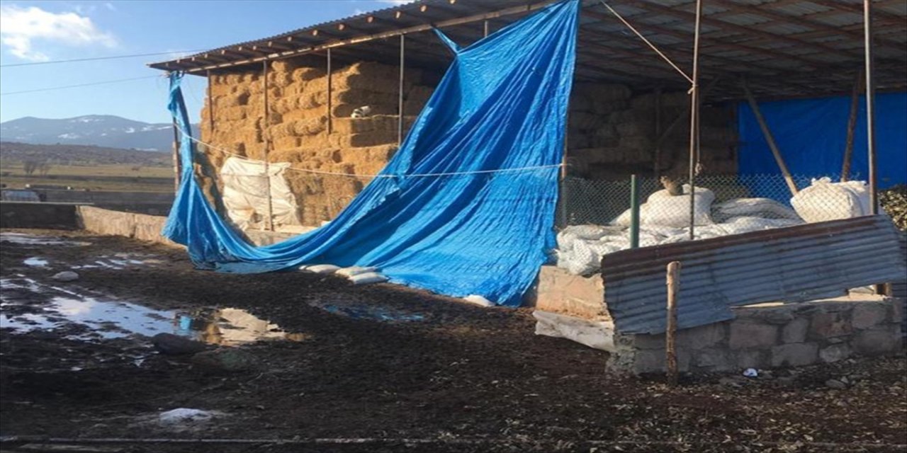 Başkentte iki ayrı tarihi eser kaçakçılığı operasyonunda 7 kişi yakalandı