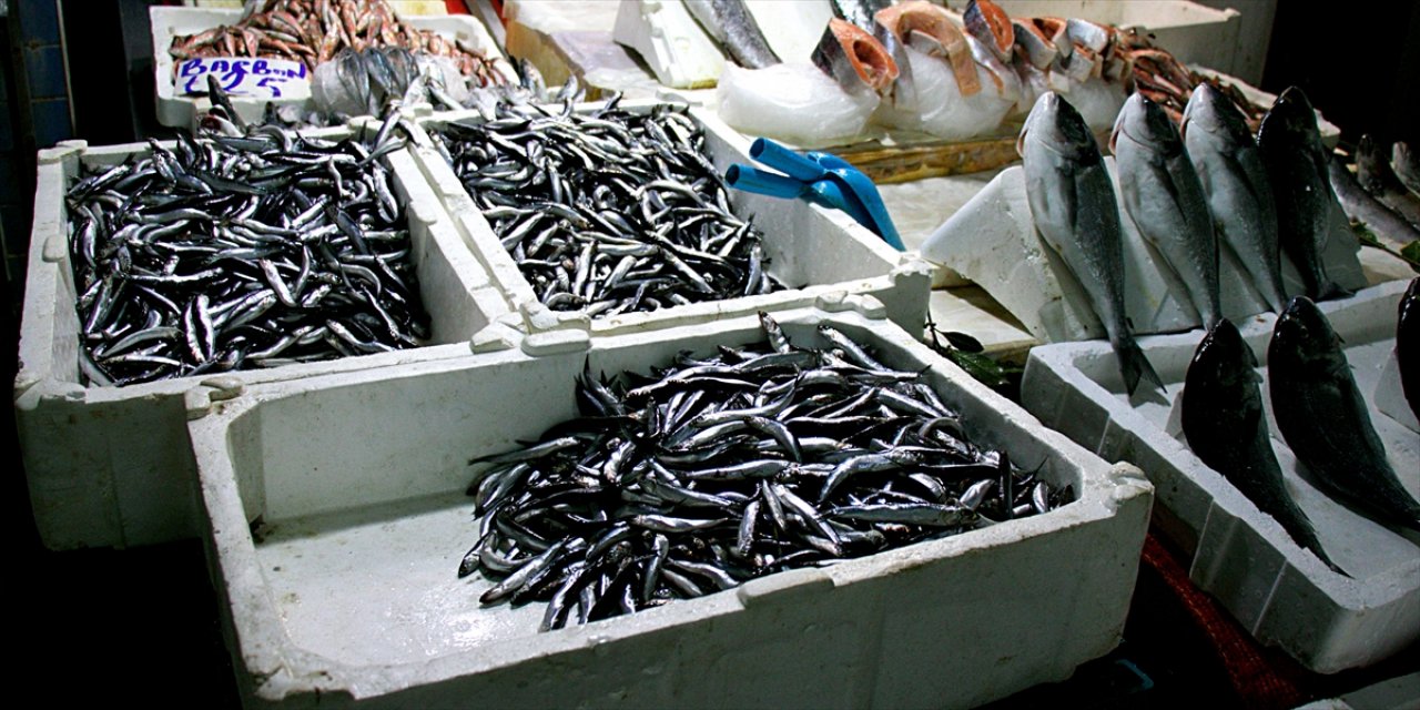 Samsun'da kısmi yasak sonrası yeniden avlanan hamsi tezgahlarda 25 liradan satılıyor