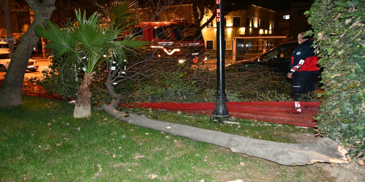Manisa'da etkili olan fırtınada gövdesinden kırılan ağaç park halindeki aracın üzerine düştü