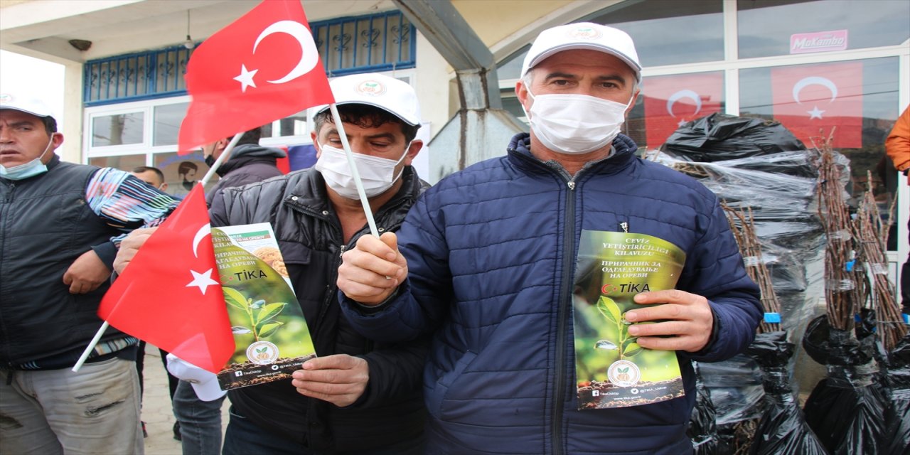 TİKA, Kuzey Makedonya'da 308 aileye ceviz fidanı desteğinde bulundu