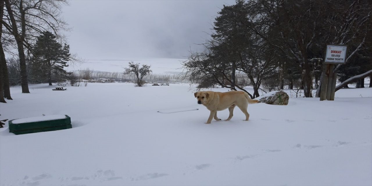 Bolu'nun yüksek kesimlerinde kar yağışı etkili oluyor
