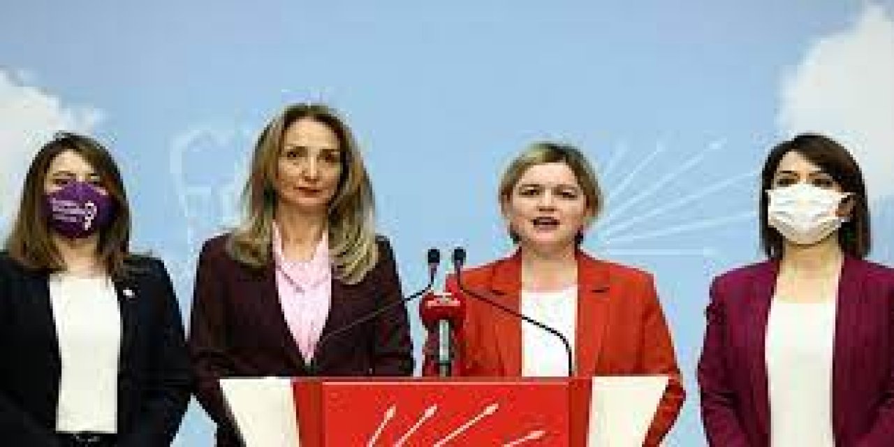 CHP'li kadın yöneticilerden İstanbul Sözleşmesi'ne ilişkin ortak açıklama