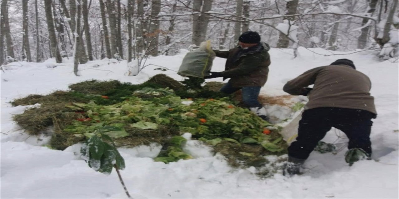 Düzce'de yabani hayvanlara 10 ton yem bırakıldı