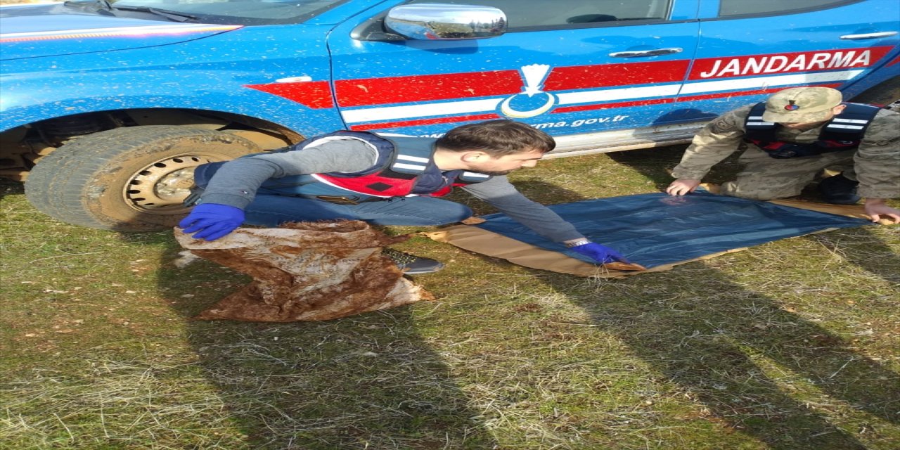 Gaziantep'te 19 yıl önceki cinayetle ilgili maktulün annesi ve 3 kardeşi hakkında müebbet talebi