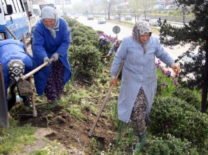 Kadın neden çalışmıyor raporu