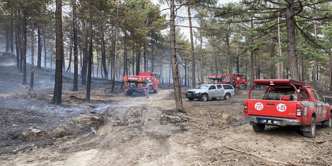 Denizli'de çıkan orman yangınında 4 hektarlık alan zarar gördü