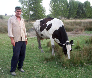Üniversiteler çok acil çoban yetiştirmeli