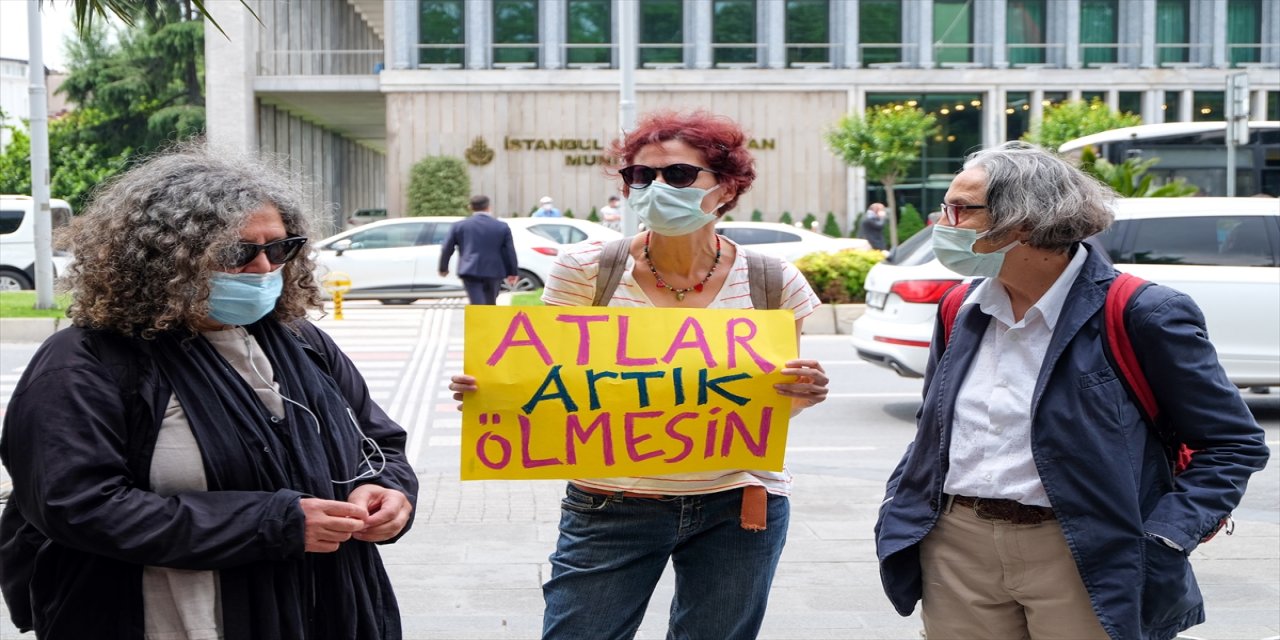 Adaların Atları Platformu, sahiplendirilen atların Adalar'a geri getirilmesini istiyor