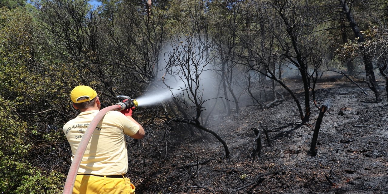 Denizli'deki orman yangınında 5 dönüm alan zarar gördü