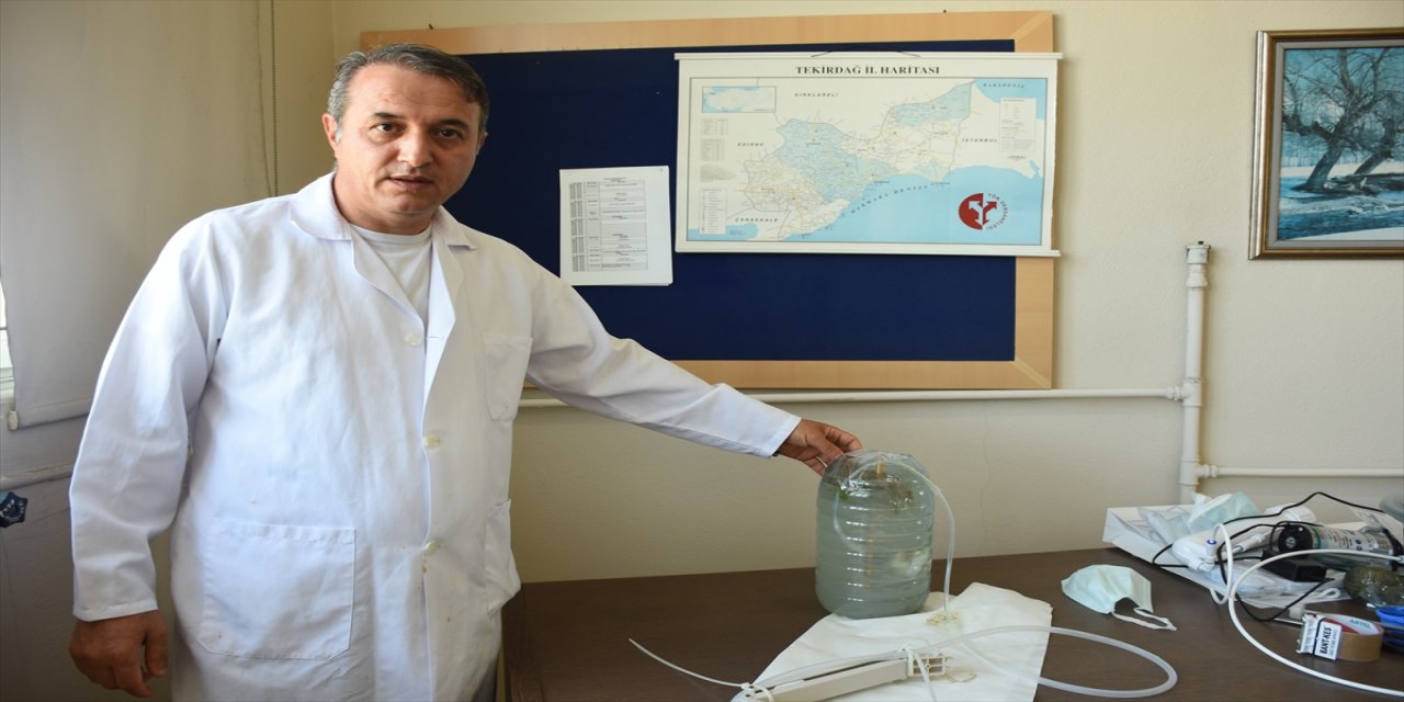 Marmara Denizi'ndeki müsilaj sorunu için laboratuvarda "reaktif oksijen" çalışması deneniyor