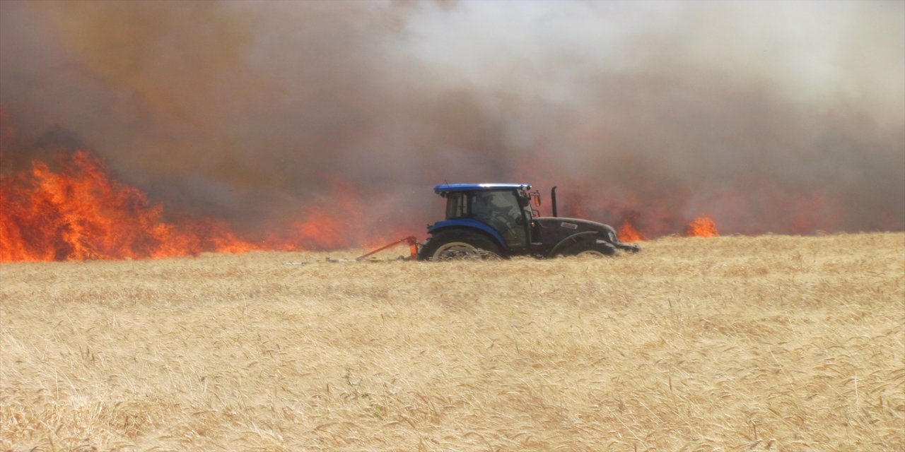Gaziantep'te 120 dönüm buğday ekili alan yandı