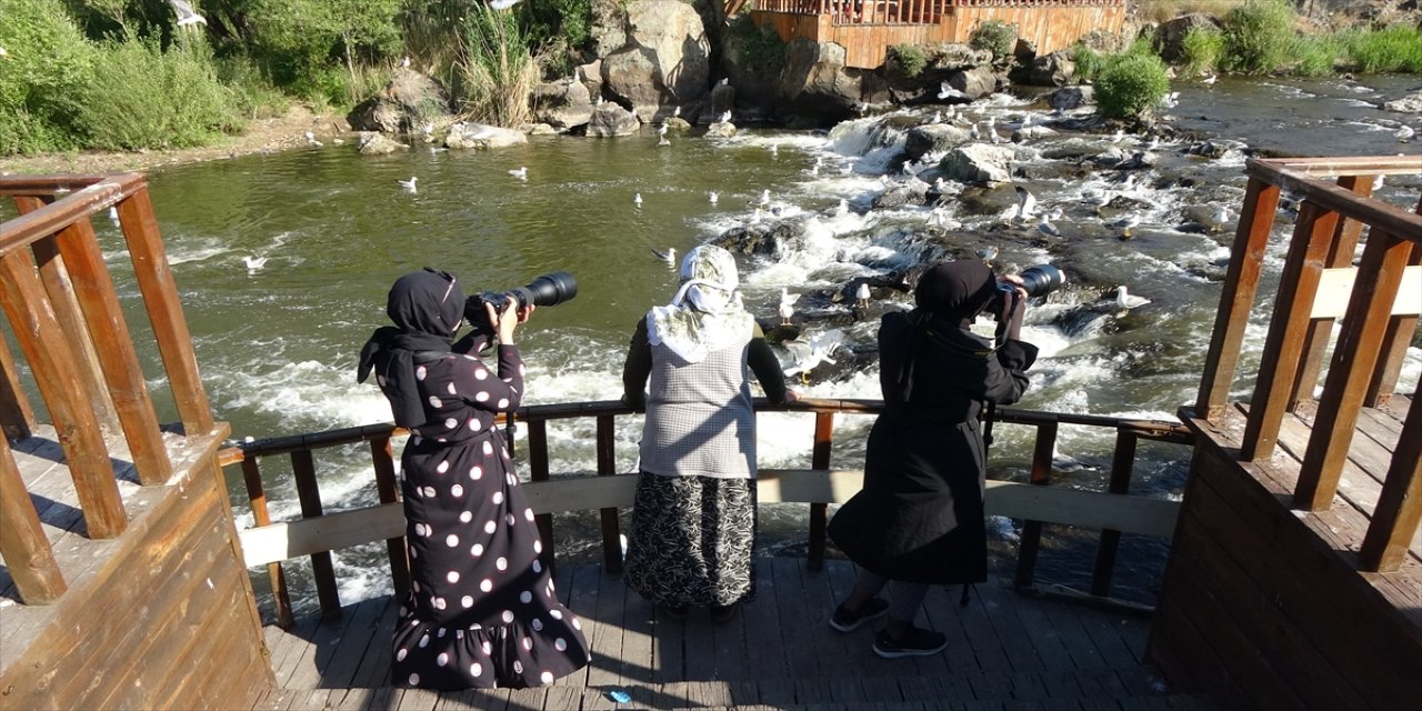 Van'da inci kefali göçü devam ediyor