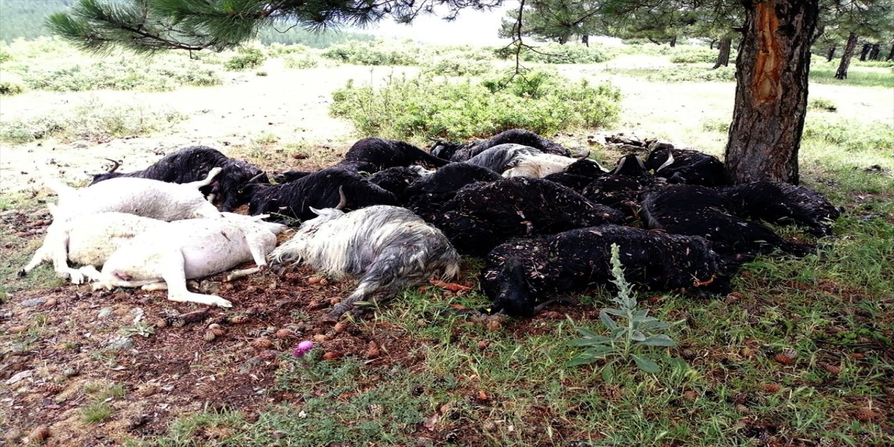 Kütahya'da yıldırım isabet eden 21 küçükbaş hayvan telef oldu