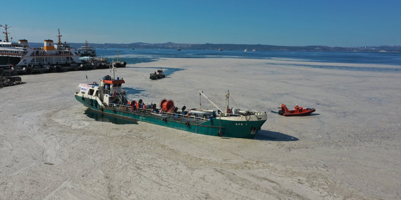 Yalova'da müsilaj temizlik çalışmaları sürüyor