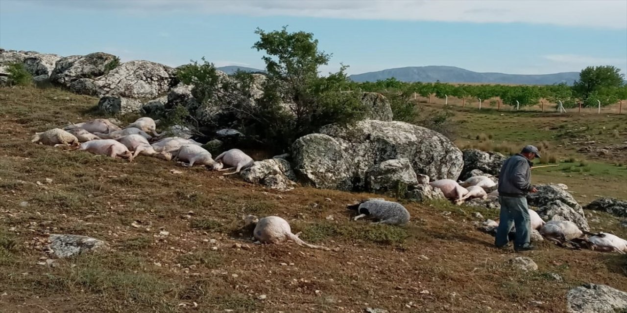 Burdur'da yıldırım isabet eden 23 koyun telef oldu