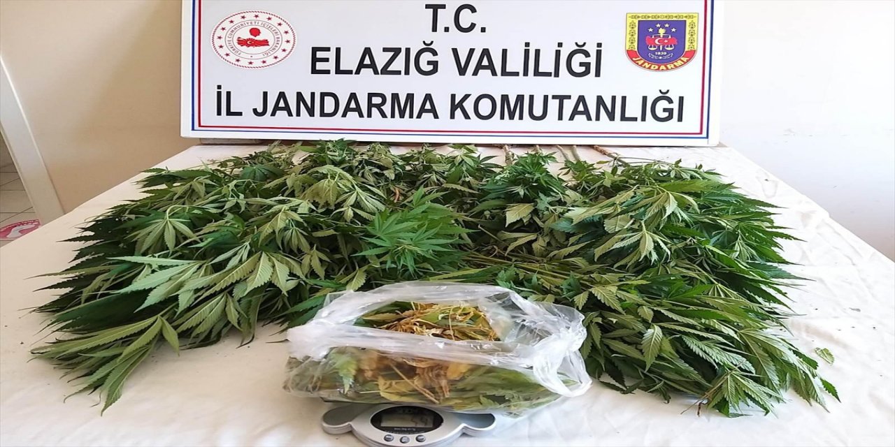 Elazığ'da 17 kilogram kubar esrar ve 41 kök Hint keneviri ele geçirildi