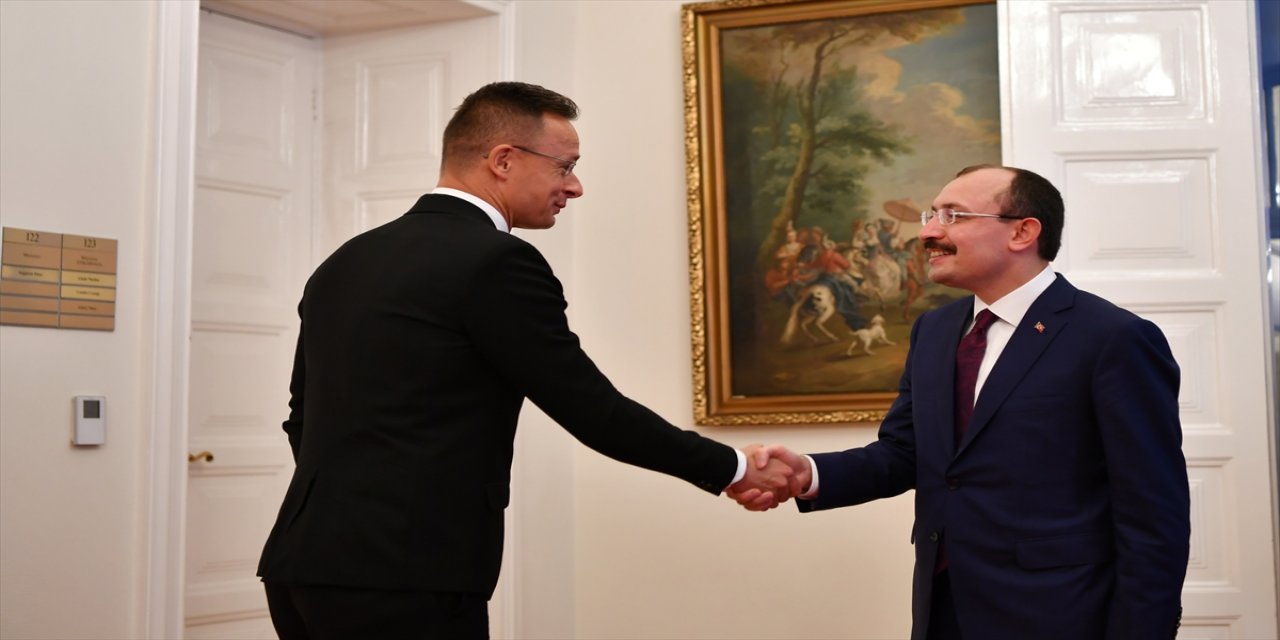 Macaristan'dan, Gümrük Birliği'nin güncellenmesi konusunda Türkiye'ye destek