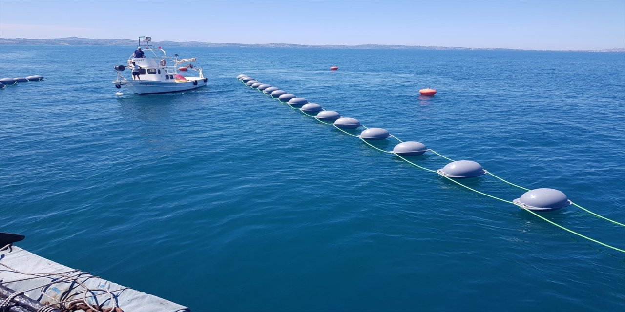 Karadeniz'de azalan midye popülasyonunun artırılması için Sinop'ta üretim tesisi kuruldu
