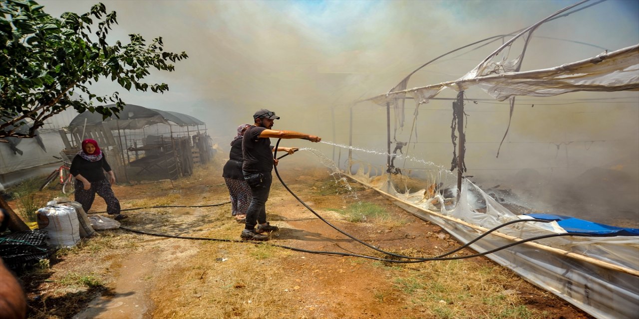 Antalya'da kuru çiçek serasında çıkan yangın hasara neden oldu