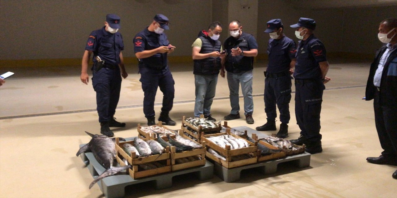 Yasak dönemde avlanılan 1,5 ton balığa el konuldu
