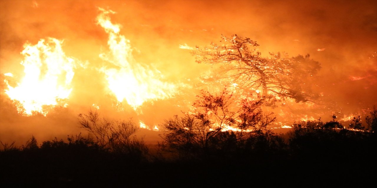 Adana'da tarladan ağaçlık alana sıçrayan anız yangını kontrol altına alındı