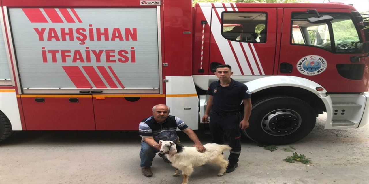 Kırıkkale'de kayalıkta mahsur kalan 2 keçiyi itfaiye ekipleri kurtardı