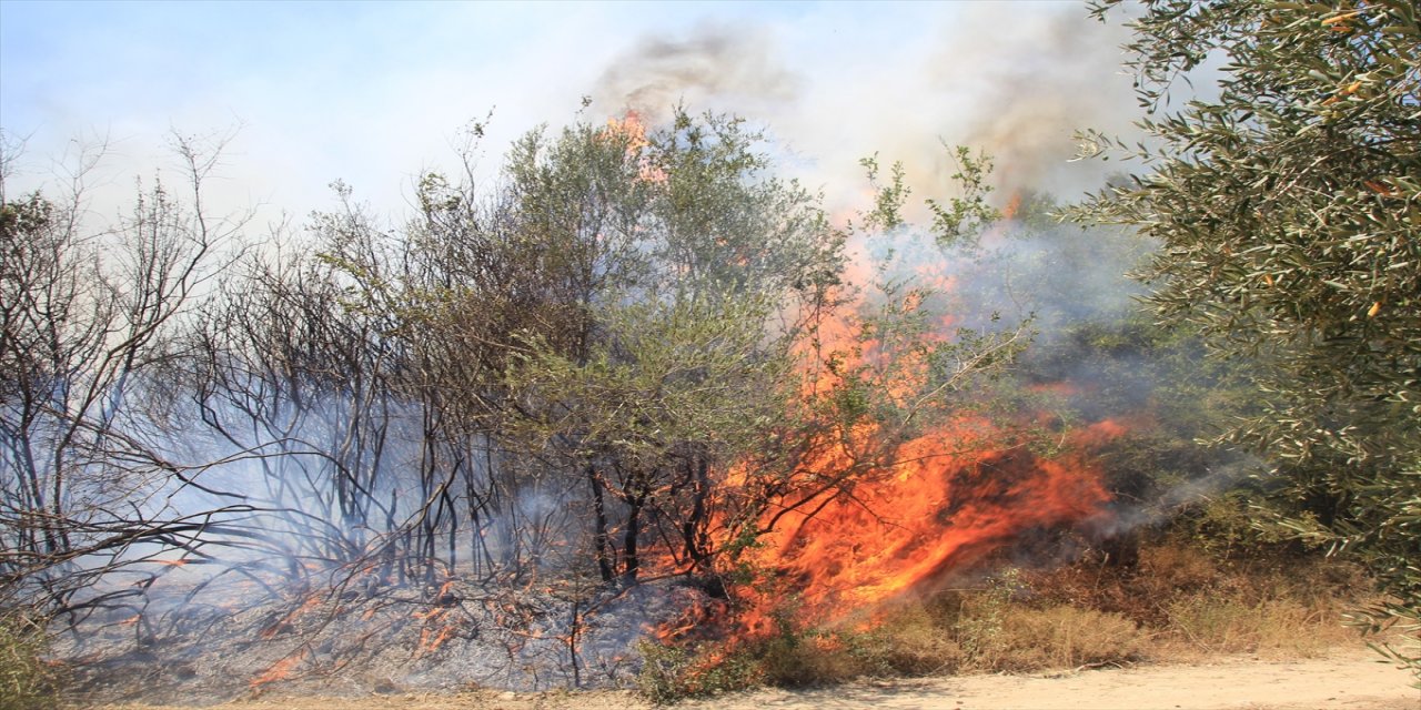 Antalya'da çıkan makilik yangını kontrol altına alındı