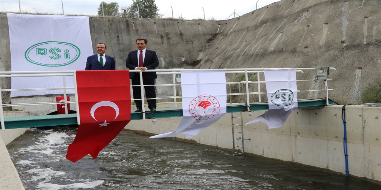 Tarım ve Orman Bakan Yardımcısı Özkaldı'dan su tasarrufu çağrısı