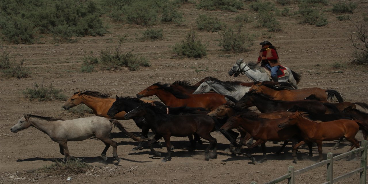 TBMM Küresel İklim Değişikliği Araştırma Komisyonu, Sultan Sazlığı'nda inceleme yaptı