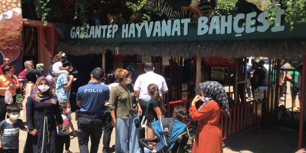 Gaziantep Hayvanat Bahçesi'nde kafesinden kaçan aslan etkisiz hale getirildi