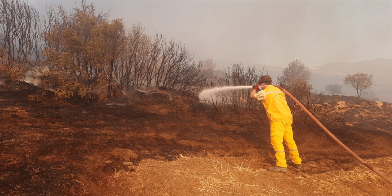 Aydın'da makilik alanda çıkan yangına müdahale ediliyor