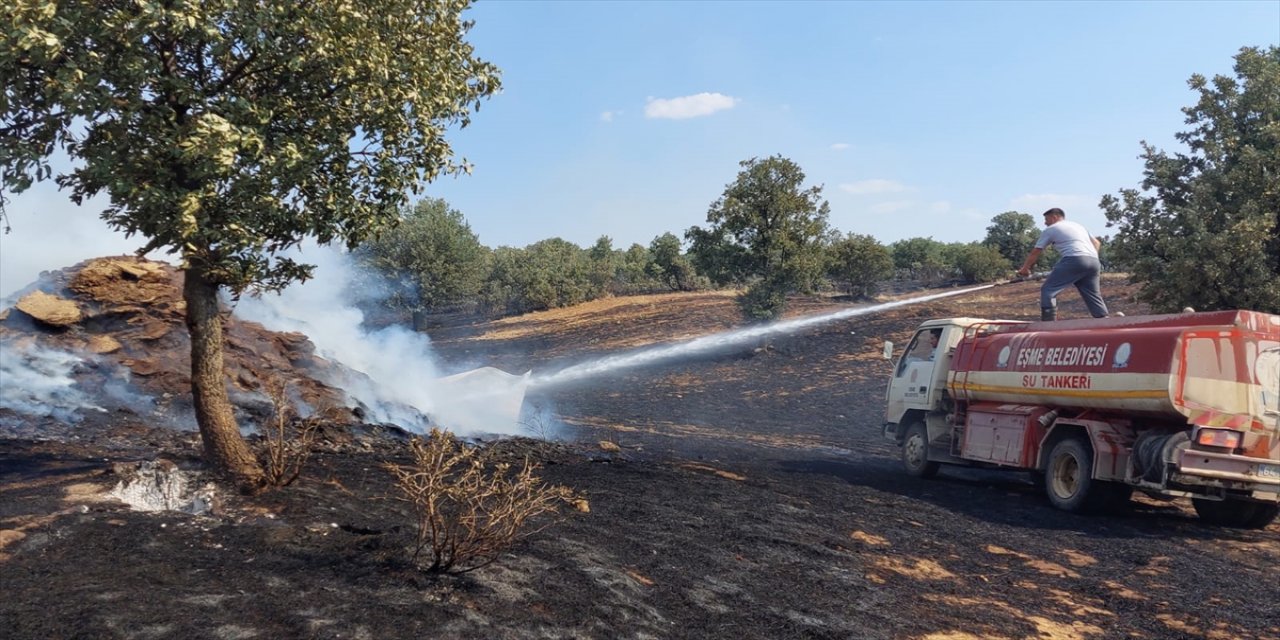 Uşak'taki yangında 400 dönüm tarım arazisi zarar gördü